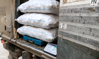 За сколько в магазинах продают ранний павлодарский картофель