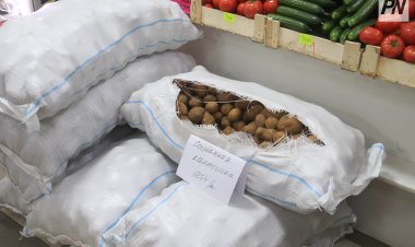 Где павлодарцы смогут купить натуральную продукцию