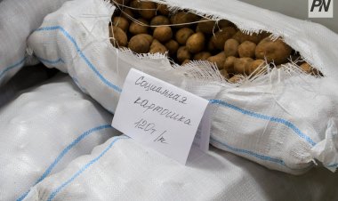 Павлодарлықтар картоптың жоғары бағасына шағымдана алады