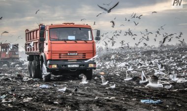 Екібастұзда санитарлық тазалық мәселесі бойынша рейд жүргізілді