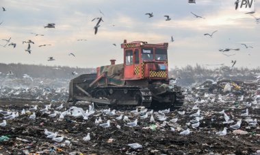 В Павлодаре полигоном твёрдых бытовых отходов будет заведовать новая компания