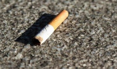 Павлодарца наказали за окурок