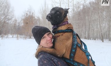 Павлодарские истории: сила северных псов