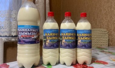 Баянауылдық кәсіпкер жаңа технологиямен қымыз өндіреді