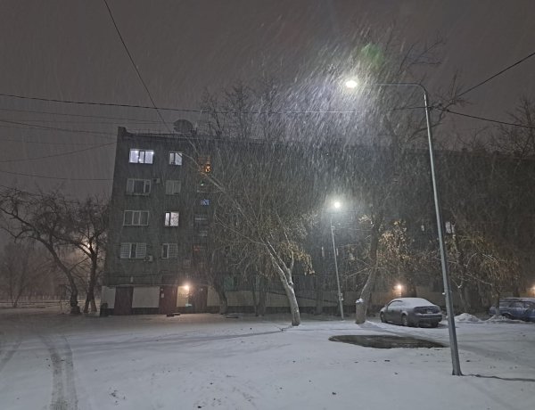 Дождь со снегом: погода в Павлодарской области 1 декабря