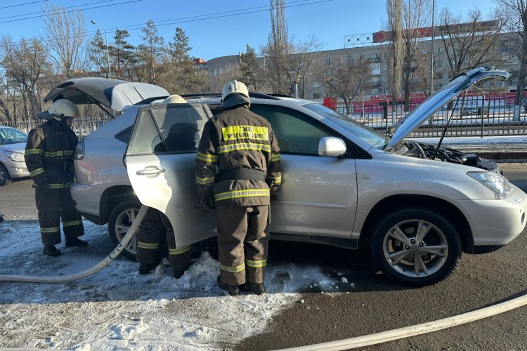 Мастурбация жасайтын транссексуалдар Жетілген қырынбаған әйелдер порно онлайн
