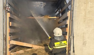 Аққулы ауданы тас жолында өрт кезінде ірі қаралар құтқарылды