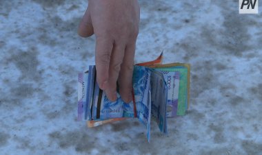 Қалтадан түскен ақша: Павлодарда алаяқ ұсталды