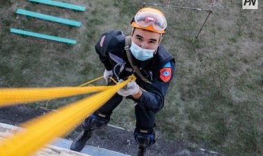 Екібастұзда  ағашқа мінген қыз түсе алмай қалды