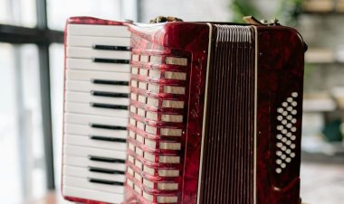 Павлодарских баянистов признали лучшими