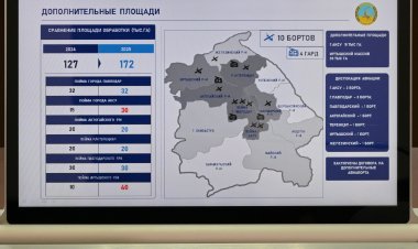 Павлодар облысында шыбын-шіркейге қарсы күреске дайындалуда