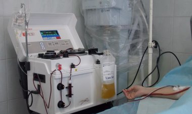 В Павлодаре стали очищать кровь обладателям редких болезней