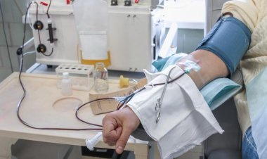 Павлодарда сирек кездесетін дертке шалдыққандардың қанын тазартуға кірісті