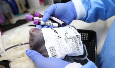 Павлодарлық ақ халатты жандар енді донор бола алады