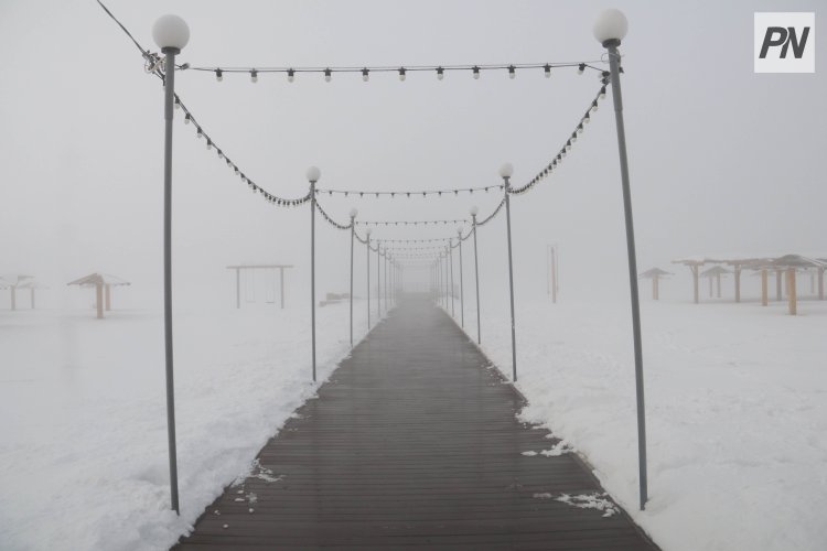 В Павлодаре кошку спасли из-под пирса на набережной