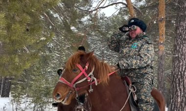 «Ертіс орманын» атты патруль күзетеді