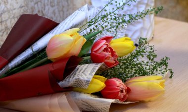 Павлодарлық психолог: «Әйелдің мықтылығы – әлсіздігінде»