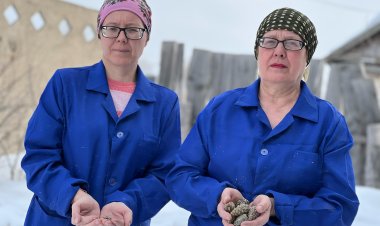 Павлодарлық анасы мен қызы жыл бойы орман өсірумен айналысады