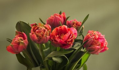 Асайын Байханов бала кезінде анасын қалай қуантқанын еске алды