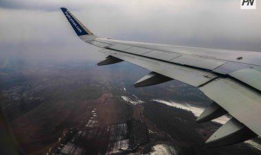 Kids Go Free: мектеп демалысында қайда баруға болады