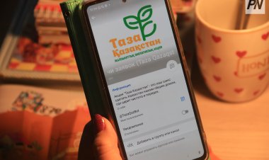 О чём чаще всего просят павлодарцы через TazaQazBot