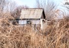 Павлодарда саяжайдағы қауіпсіздік күшейтілді
