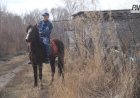Павлодарда саяжайлардағы ұрлықтың алдын алу шаралары күшейтілді