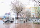 14 мамырда Павлодар облысының кей жерлерінде жаңбыр жаууы мүмкін