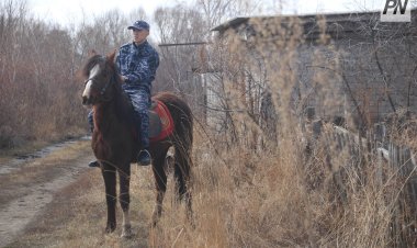 Павлодарда саяжайлардағы ұрлықтың алдын алу шаралары күшейтілді