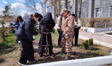 Павлодарда орманшылар оқушыларға ағаш отырғызуды үйретті