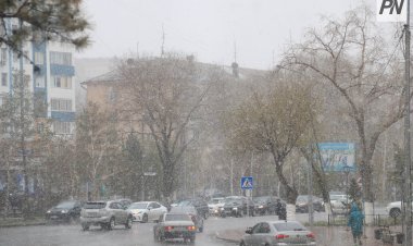 6 наурызда Павлодар облысының кей жерлерінде қар жауады