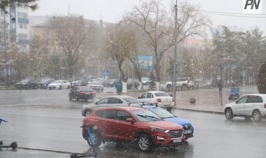 Дождь со снегом ожидают в Павлодарской области 15 апреля