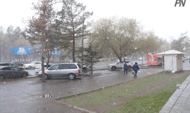 Дождь со снегом ожидают в Павлодарской области 10 апреля