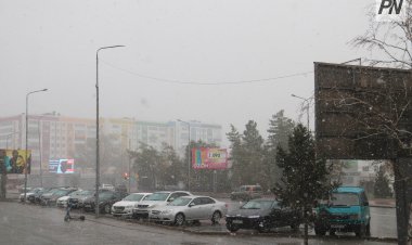 17 наурызда Павлодар облысында тұман мен бұрқасын күтіледі