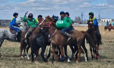 Павлодарда көкпардан кіл мықтылар анықталды