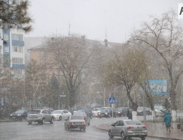 23 наурызда Павлодар облысында аздаған жаңбыр жауады