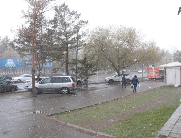 Дождь со снегом ожидают в Павлодарской области 10 апреля