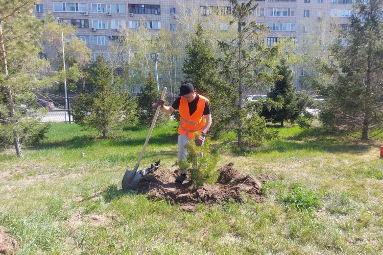 Египеттік секс Анал орыс ханымы