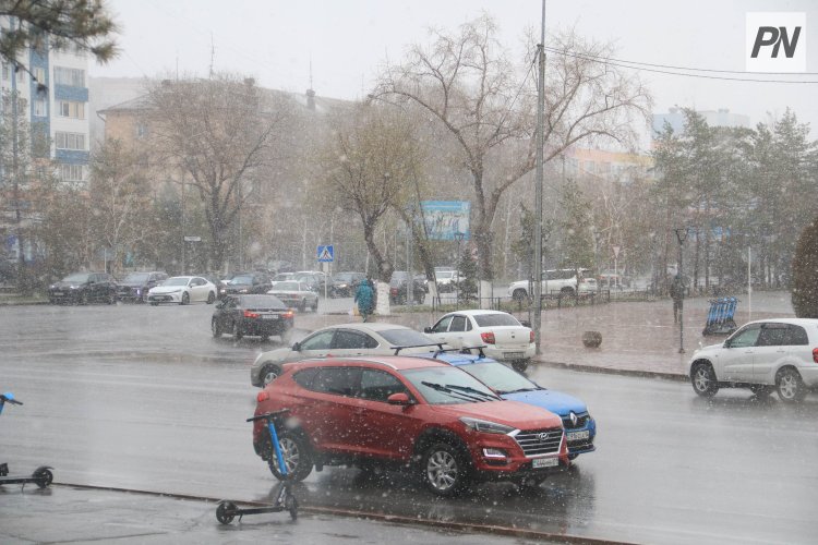 Дождь со снегом ожидают в Павлодарской области 15 апреля