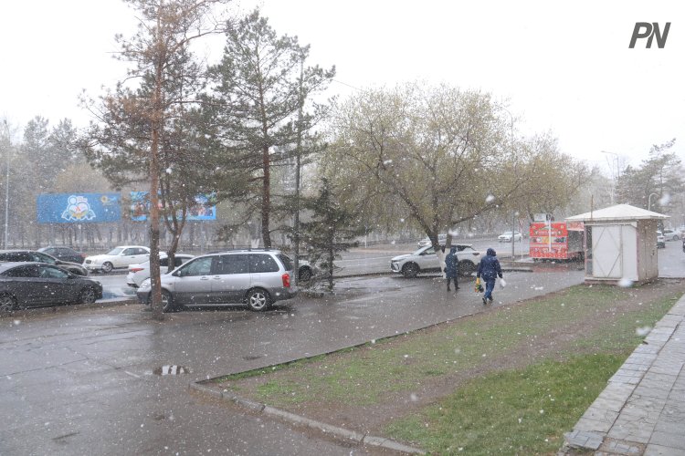 Дождь со снегом ожидают в Павлодарской области 10 апреля