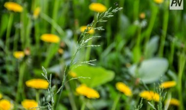 29 апреля в Павлодарской области не будет осадков