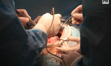 Донорлықтағы Павлодар үлесі: елдегі оталар саны рекордтық деңгейде