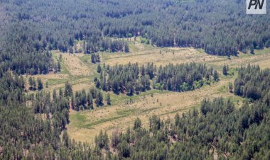 «Ертіс орманы» өрт қауіпті маусымға дайындықты күшейтті