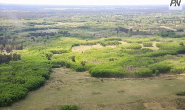 Павлодар облысында заңсыз пайдаланылған жер телімдері қайтарылды