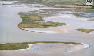 Павлодар облысында экологиялық су жіберулер жем-шөп қорын көбейтті