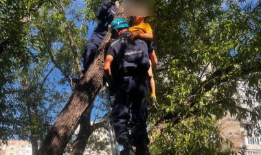 Екібастұзда құтқарушылар ағашқа шығып қалған баланы аман-есен түсірді