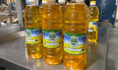 Павлодарский предприниматель намерен изменить рынок подсолнечного масла