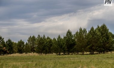 Павлодар облысында экологиялық мониторингтің өзекті мәселелері талқыланды