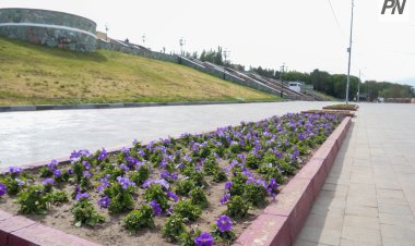 На павлодарской набережной восстановят поврежденные цветники