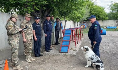 В Экибастузе испытали четвероногих спасателей